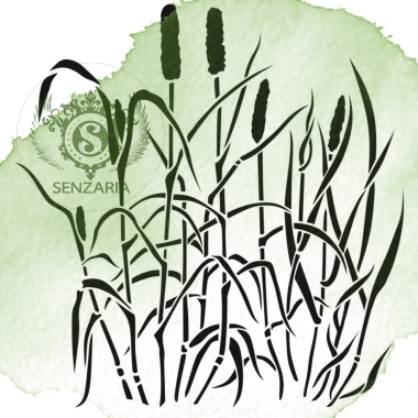 Трафарет - Тимофеевка