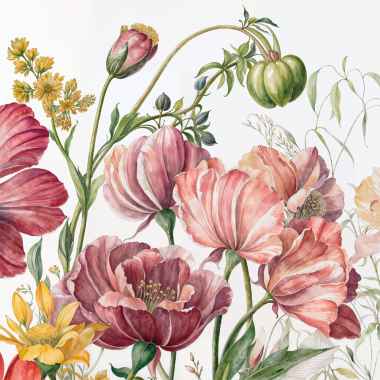 Трансфер- Гербарий 1 Трансфер- Гербарий 1